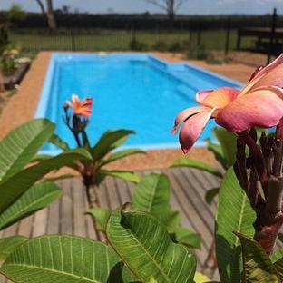 Wallaby Holiday home Pokolbin